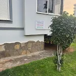 Turky * ألانيا